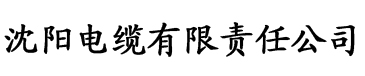 久久棈精品久久久久久噜噜电缆厂logo